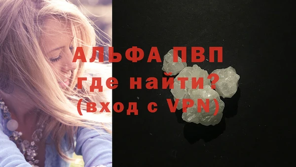 эйфоретик Вяземский