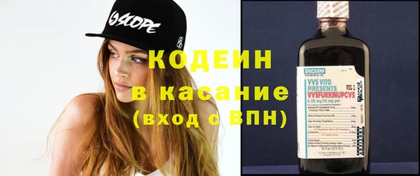 эйфоретик Вяземский