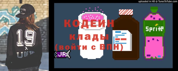 эйфоретик Вяземский