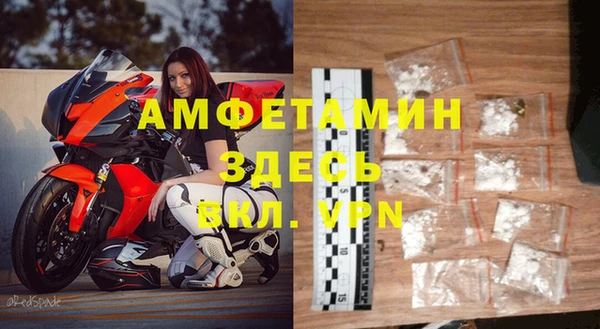 индика Горнозаводск