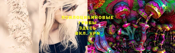 эйфоретик Вяземский