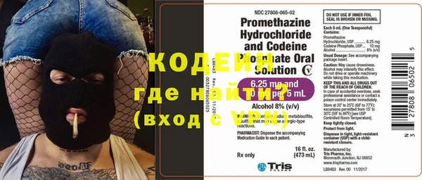 индика Горнозаводск