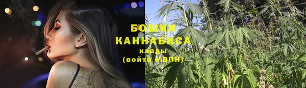 эйфоретик Вяземский
